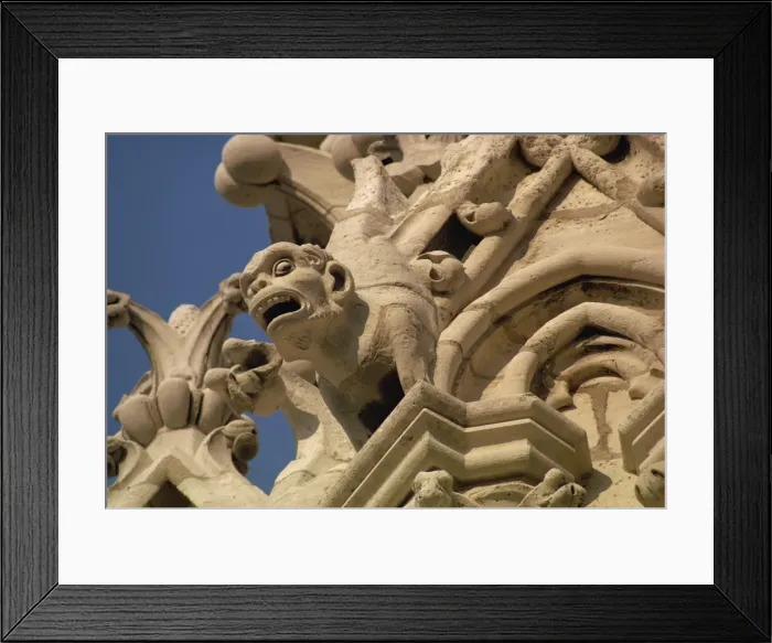 Framed Print : Gargoyles on Notre Dame Cathedral, Paris, France, Europe Framed Print : Gargoyles on Notre Dame Cathedral, Paris, France, Europe