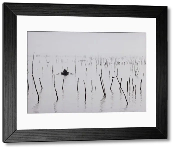 Framed Print : Oyster beds, Arcachon, Gironde, Aquitaine, France, Europe Framed Print : Oyster beds, Arcachon, Gironde, Aquitaine, France, Europe