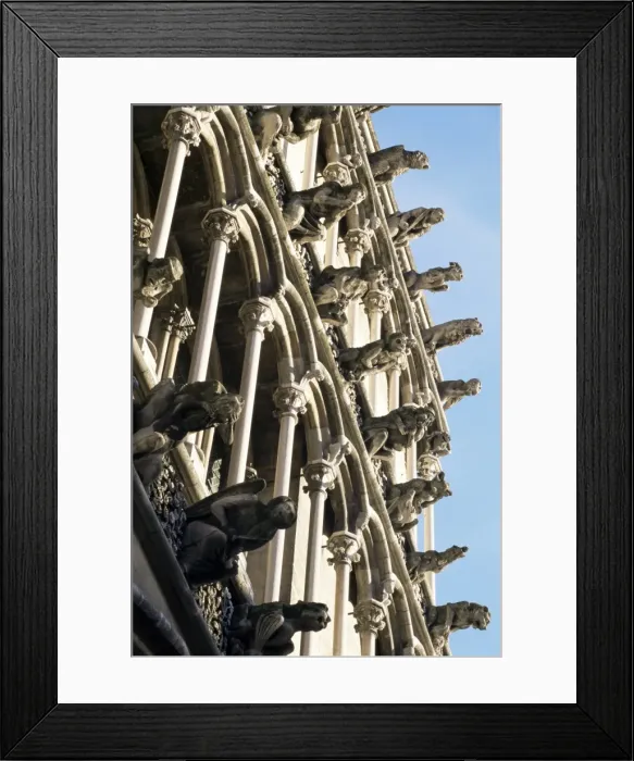 Framed Print : Facade with false gargoyles, Eglise Notre-Dame, Dijon, Burgundy, France, Europe Framed Print : Facade with false gargoyles, Eglise Notre-Dame, Dijon, Burgundy, France, Europe