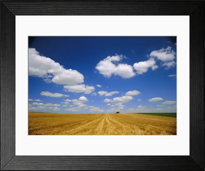 Framed Print : Landscape near Hondschoote, Flanders, Nord Pas de Calais France, Europe