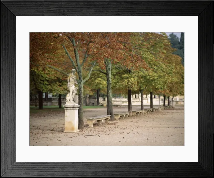 Framed Print : Languedoc Roussillon, France, Europe Framed Print : Languedoc Roussillon, France, Europe