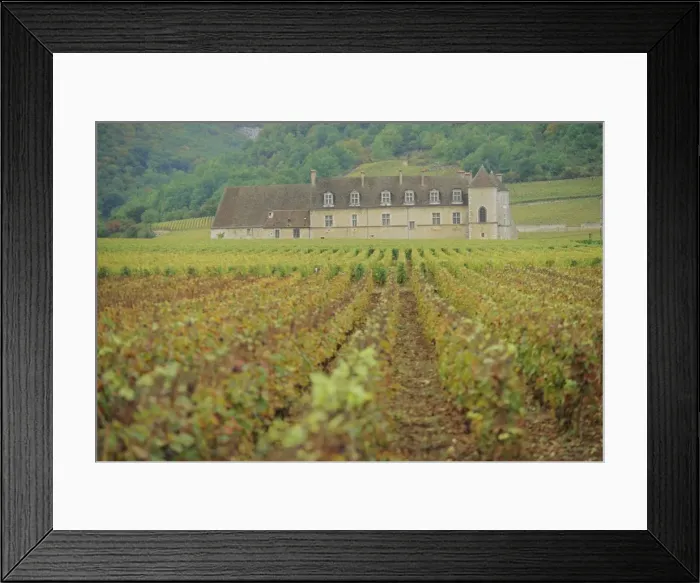 Framed Print : Chateau Vougeot, Cote d Or, Burgundy, France, Europe Framed Print : Chateau Vougeot, Cote d Or, Burgundy, France, Europe