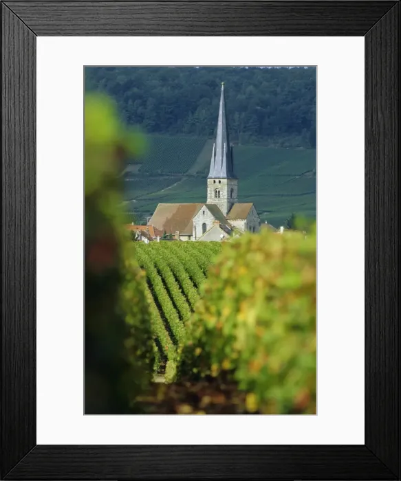 Framed Print : Chamery, Montagne de Reims, Champagne, France, Europe Framed Print : Chamery, Montagne de Reims, Champagne, France, Europe