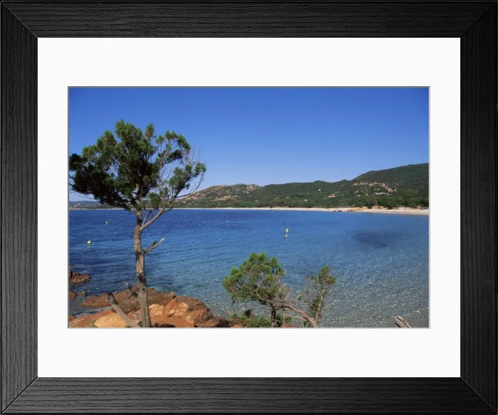 Framed Print : Palombaggia beach, Porto Vecchio, Corsica, France, Mediterranean, Europe Framed Print : Palombaggia beach, Porto Vecchio, Corsica, France, Mediterranean, Europe