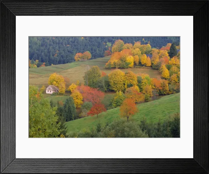 Framed Print : The Vosges, Alsace-Lorraine, France, Europe Framed Print : The Vosges, Alsace-Lorraine, France, Europe