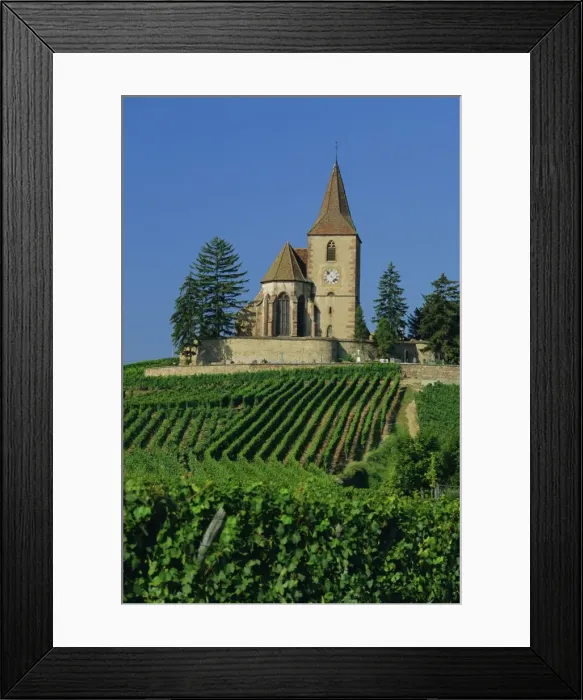 Framed Print : Church and vineyards, Hunawihr, Alsace, France, Europe Framed Print : Church and vineyards, Hunawihr, Alsace, France, Europe