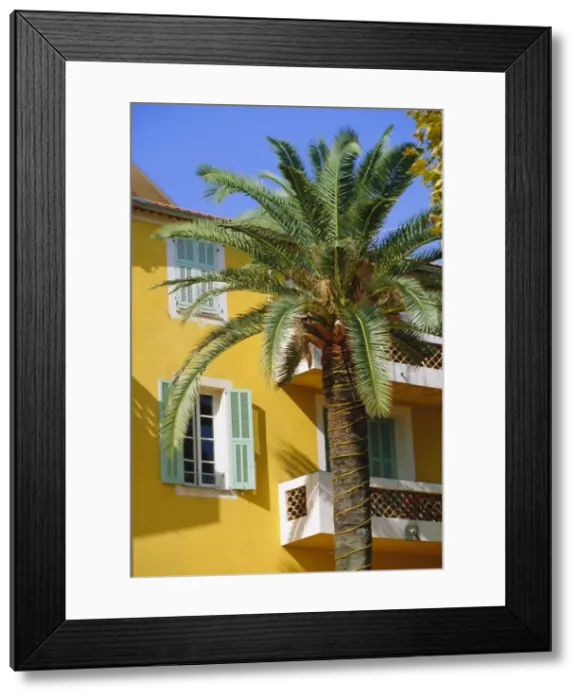 Framed Print : Yellow house and palm tree, Villefranche sur Mer, Cote d Azur, Provence Framed Print : Yellow house and palm tree, Villefranche sur Mer, Cote d Azur, Provence