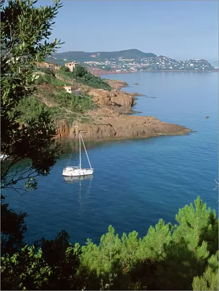 Coastline, Esterel, Cote d Azur, Provence, Mediterranean, France, Europe