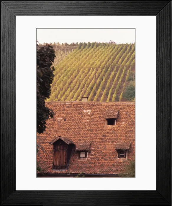 Framed Print : Roof and autumn vines, Riquewihr, Alsace, France, Europe Framed Print : Roof and autumn vines, Riquewihr, Alsace, France, Europe