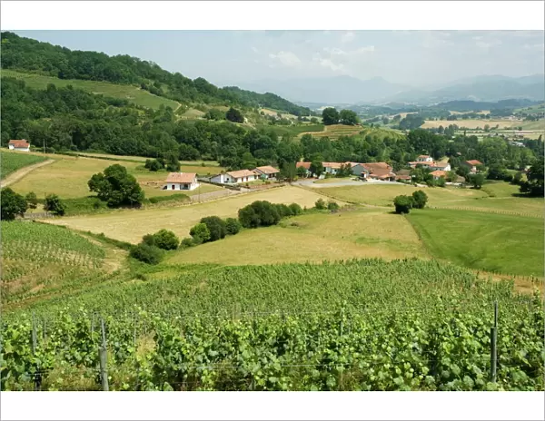 Countryside near St. Jean Pied de Port, Basque country, Pyrenees-Atlantiques