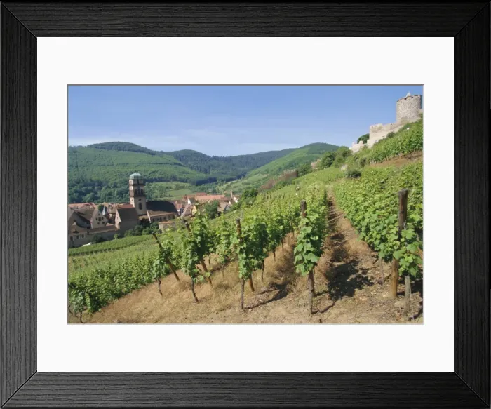 Framed Print : Vineyards, Kaysersberg, Haute-Rhin, France, Europe