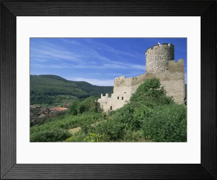 Framed Print : Castle, Kaysersberg, Alsace, France, Europe Framed Print : Castle, Kaysersberg, Alsace, France, Europe