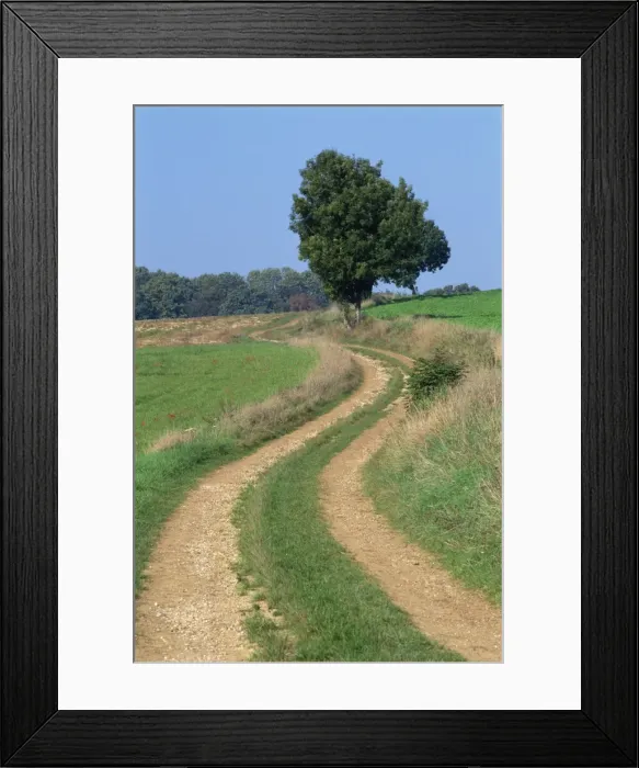 Framed Print : Empty rural road or farm track in agricultural land, Picardie (Picardy), France, Europe Framed Print : Empty rural road or farm track in agricultural land, Picardie (Picardy), France, Europe