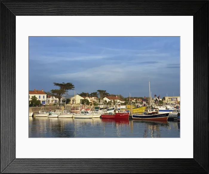 Framed Print : Harbour, La Cotiniere, Ile d Oleron, Poitou Charentes, France, Europe Framed Print : Harbour, La Cotiniere, Ile d Oleron, Poitou Charentes, France, Europe