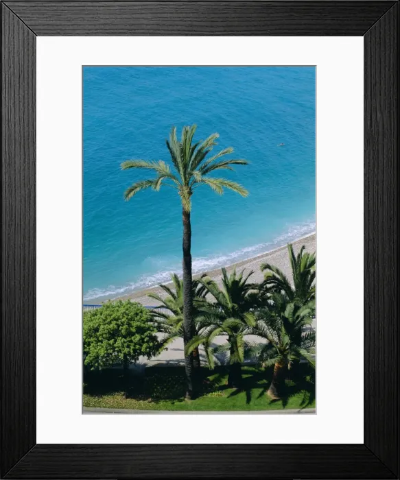 Framed Print : Palm trees and Baie des Anges, Nice, Cote d Azur, Alpes-Maritimes, Provence Framed Print : Palm trees and Baie des Anges, Nice, Cote d Azur, Alpes-Maritimes, Provence