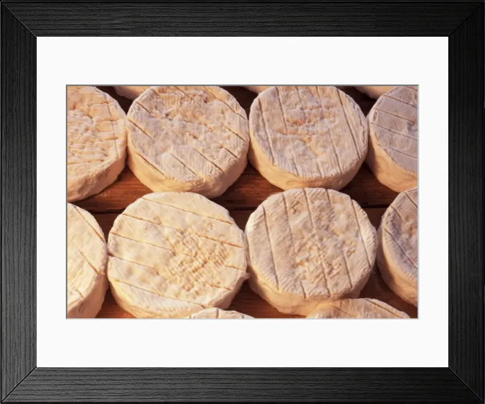 Framed Print : Maturing Camembert cheese, Normandy, France, Europe Framed Print : Maturing Camembert cheese, Normandy, France, Europe