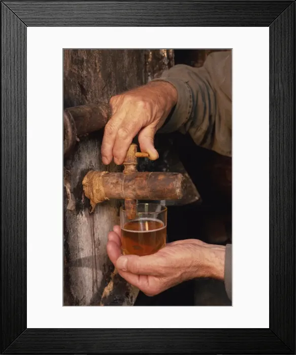 Framed Print : Tasting, farm cider, Normandie, France, Europe Framed Print : Tasting, farm cider, Normandie, France, Europe