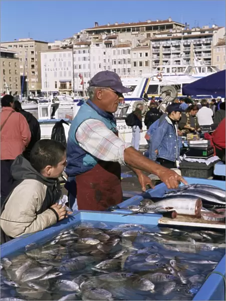 Fish market, Vieux Port, Marseille, Bouches du Rhone, Provence, France, Europe