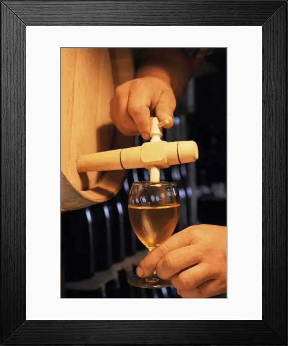 Framed Print : Tasting cider, cider farm, Normandy, France, Europe Framed Print : Tasting cider, cider farm, Normandy, France, Europe