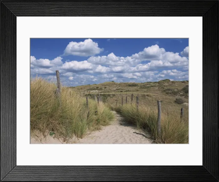 Framed Print : Dunes, Le Touquet, Nord Pas de Calais, France, Europe Framed Print : Dunes, Le Touquet, Nord Pas de Calais, France, Europe