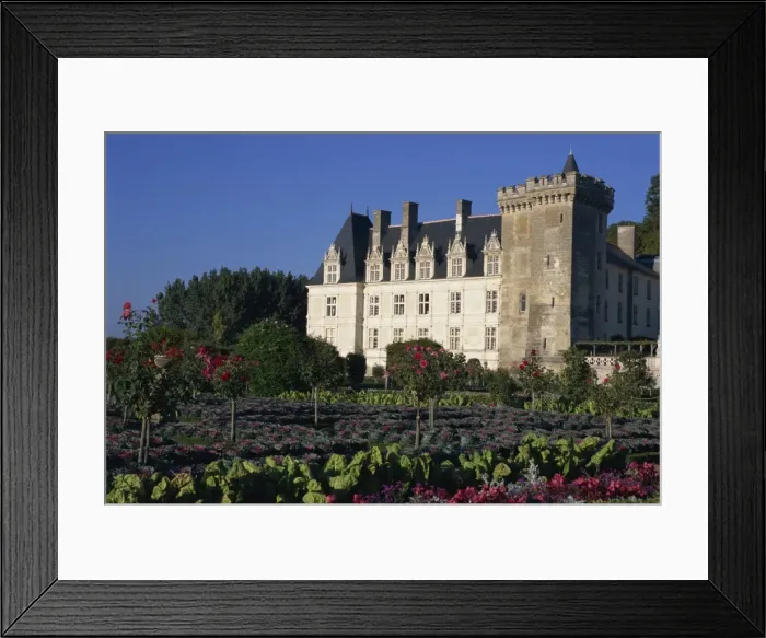 Framed Print : Gardens, Chateau de Villandry, Loire Valley, Centre, France, Europe Framed Print : Gardens, Chateau de Villandry, Loire Valley, Centre, France, Europe