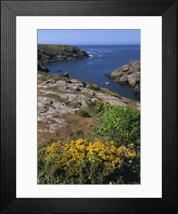 Framed Print : Saint Nicolas and wild flowers, Ile de Groix, Brittany, France, Europe Framed Print : Saint Nicolas and wild flowers, Ile de Groix, Brittany, France, Europe