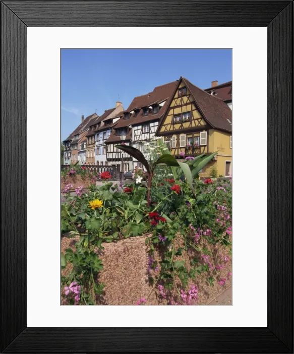 Framed Print : Quai de la Poissonnerie, Colmar, Alsace, France, Europe Framed Print : Quai de la Poissonnerie, Colmar, Alsace, France, Europe