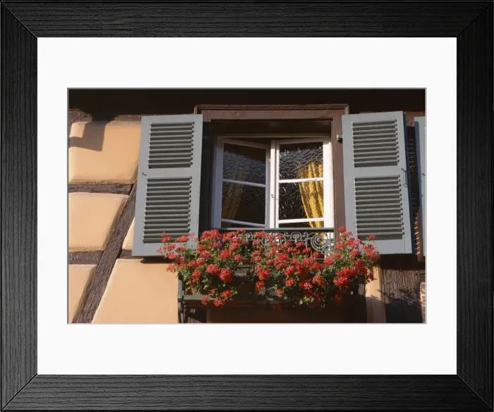Framed Print : Close-up of typical window with blue shutters and windowbox full of geraniums Framed Print : Close-up of typical window with blue shutters and windowbox full of geraniums