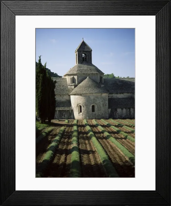 Framed Print : Abbaye de Senanque, Gordes, Vaucluse, Provence, France, Europe Framed Print : Abbaye de Senanque, Gordes, Vaucluse, Provence, France, Europe