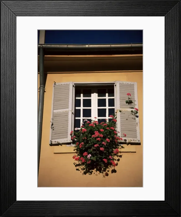 Framed Print : Shutters and window, Aix en Provence, Provence, France, Europe Framed Print : Shutters and window, Aix en Provence, Provence, France, Europe