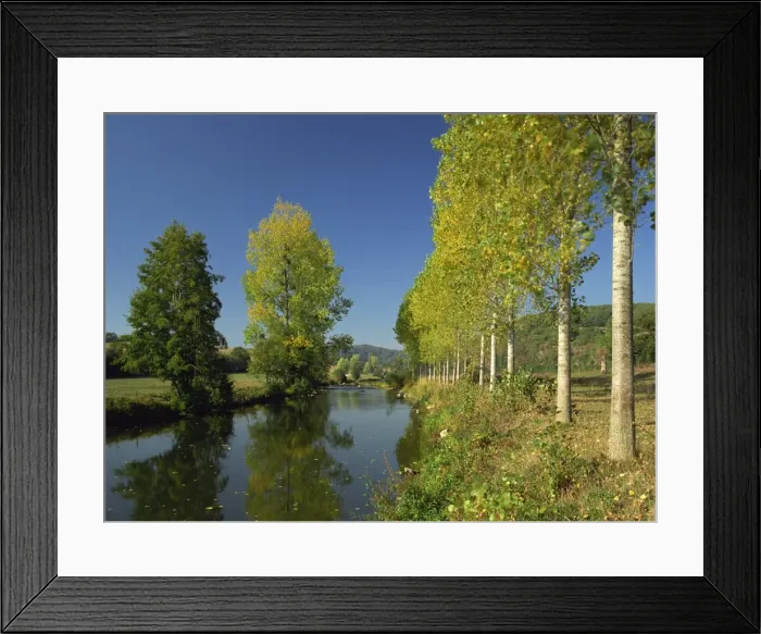 Framed Print : Tranquil scene of trees reflected in water, along the banks of the River Sarthe near St
