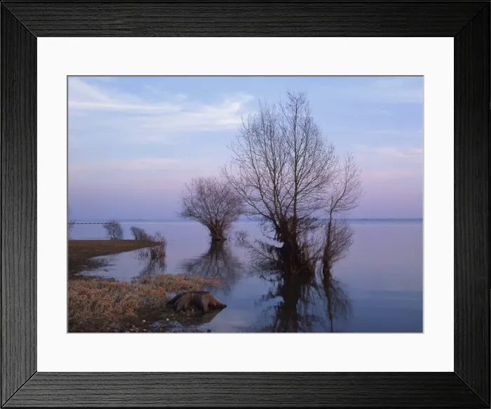 Framed Print : Tranquil scene of bare tree reflected in the water of the lake in winter Framed Print : Tranquil scene of bare tree reflected in the water of the lake in winter