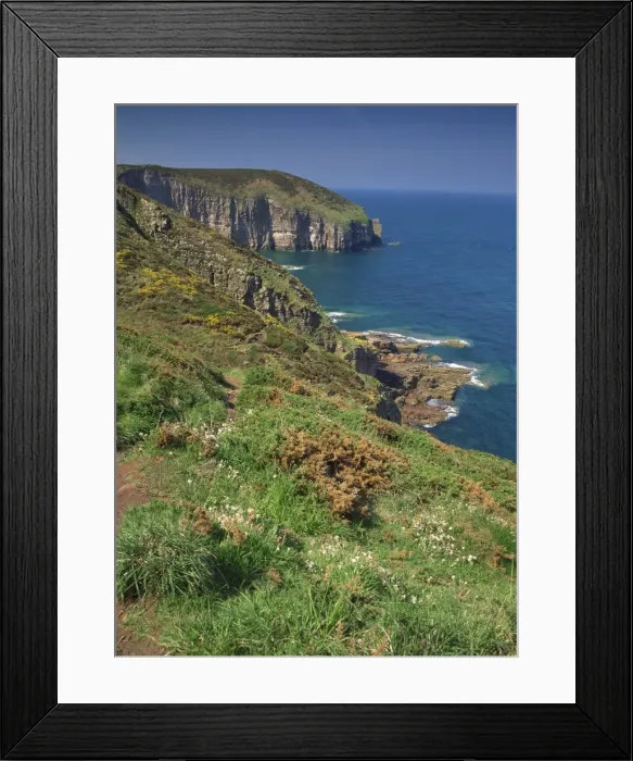 Framed Print : Landscape of cliffs along the coastline at Cap Frehel, Cote d Emeraude Framed Print : Landscape of cliffs along the coastline at Cap Frehel, Cote d Emeraude