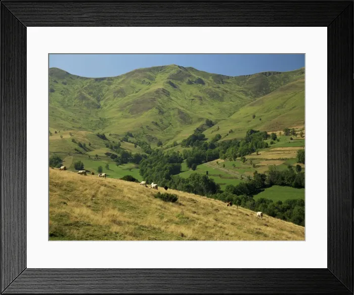 Framed Print : Landscape near Arreau, Midi Pyrenees, France, Europe Framed Print : Landscape near Arreau, Midi Pyrenees, France, Europe