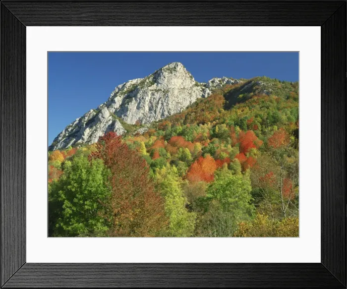 Framed Print : Landscape with woodland of trees in autumn colours and rocky peak beyond