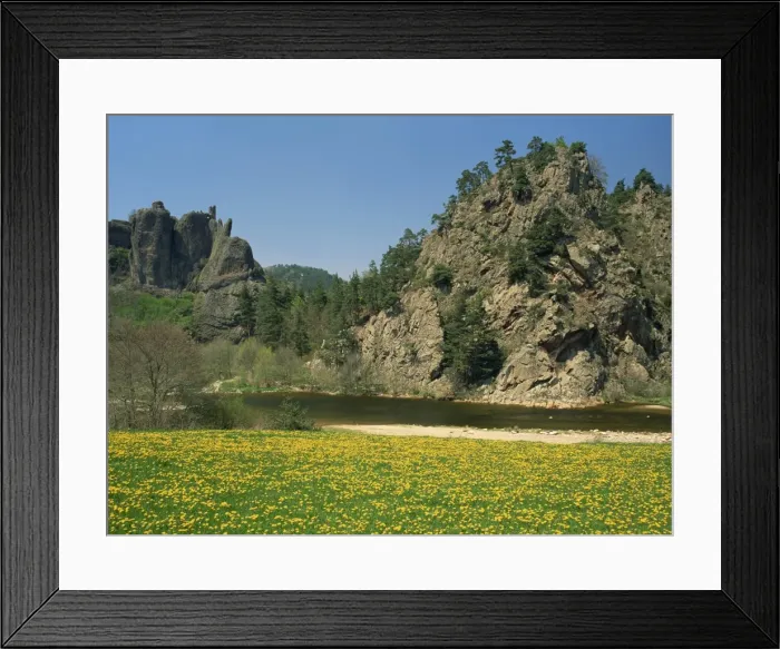 Framed Print : The River Loire in spring with wild flowers on bank and cliffs behind, near Arlempdes Framed Print : The River Loire in spring with wild flowers on bank and cliffs behind, near Arlempdes