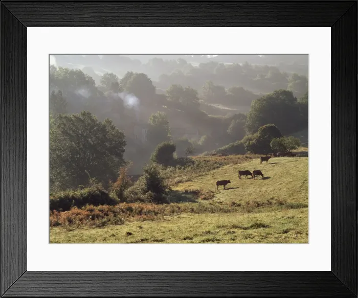 Framed Print : Countryside near Poitiers, Poitou Charentes, France, Europe Framed Print : Countryside near Poitiers, Poitou Charentes, France, Europe