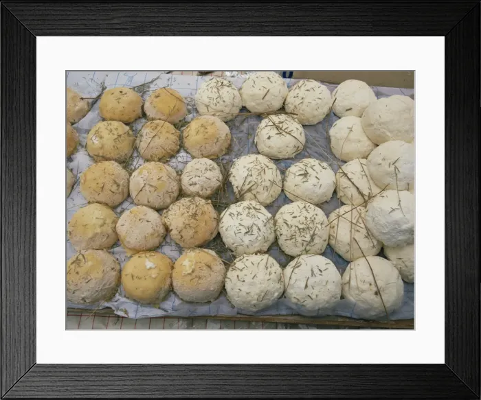 Framed Print : A tray of round goats cheeses in Provence, France, Europe Framed Print : A tray of round goats cheeses in Provence, France, Europe