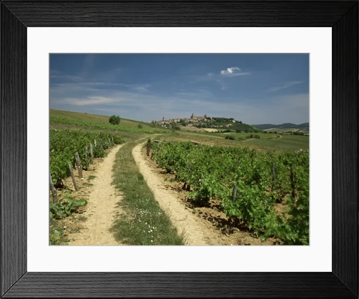 Framed Print : Vineyards with village in distance, Vezeley, Burgundy, France, Europe Framed Print : Vineyards with village in distance, Vezeley, Burgundy, France, Europe
