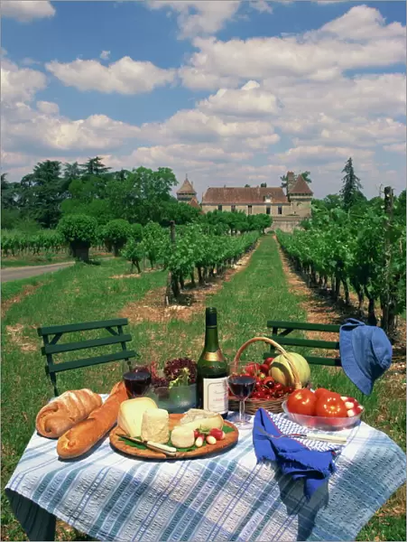 Table set with a picnic lunch in a vineyard in Aquitaine, France, Europe