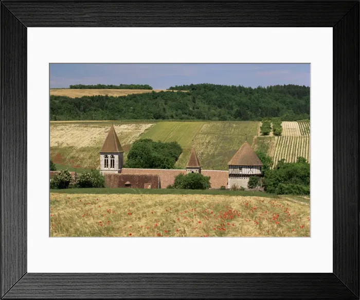 Framed Print : Village of Chitry, Burgundy, France, Europe