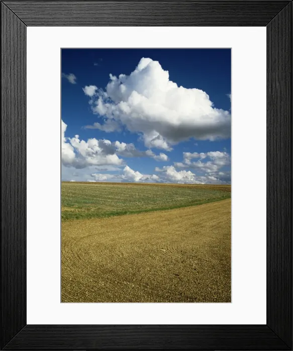Framed Print : Landscape near Chablis, Burgundy (Bourgogne), France, Europe Framed Print : Landscape near Chablis, Burgundy (Bourgogne), France, Europe