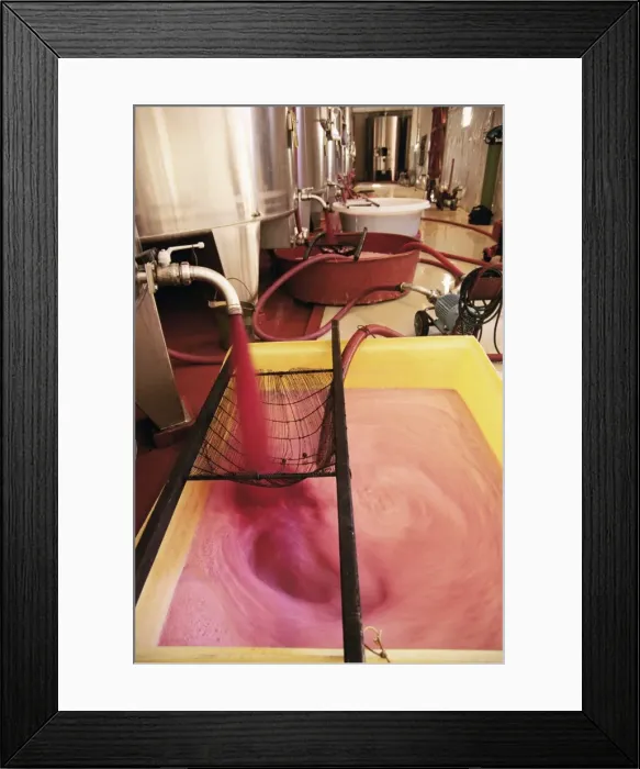 Framed Print : Grape juice being poured into fermentation tanks, Chateau Crozet Bages Framed Print : Grape juice being poured into fermentation tanks, Chateau Crozet Bages