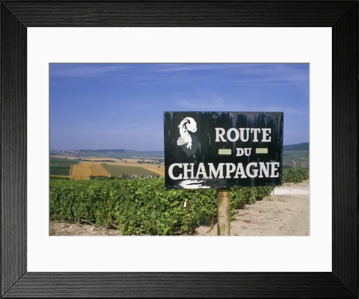 Framed Print : Route du Champagne sign, near Epernay, Marne, Champagne Ardenne, France, Europe