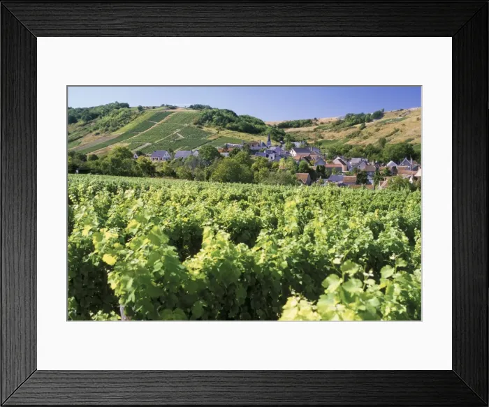 Framed Print : Vineyards at Bue, near Sancerre, Loire Centre, France, Europe Framed Print : Vineyards at Bue, near Sancerre, Loire Centre, France, Europe