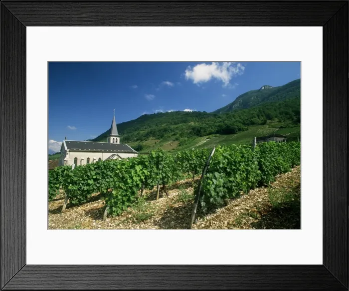 Framed Print : Jonjieux (Jonzieux), Savoie vineyards, Rhone Alpes, France, Europe Framed Print : Jonjieux (Jonzieux), Savoie vineyards, Rhone Alpes, France, Europe