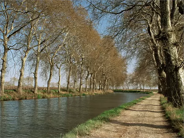 Canal du Midi, near Capestang, Languedoc-Roussillon, France, Europe