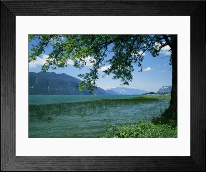 Framed Print : Lac du Bourget, near Aix les Bains, Savoie, Rhone Alpes, France, Europe Framed Print : Lac du Bourget, near Aix les Bains, Savoie, Rhone Alpes, France, Europe