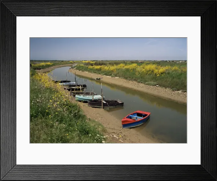 Framed Print : Vendee, Ile d Olonne, western Loire, Pays de la Loire, France, Europe Framed Print : Vendee, Ile d Olonne, western Loire, Pays de la Loire, France, Europe