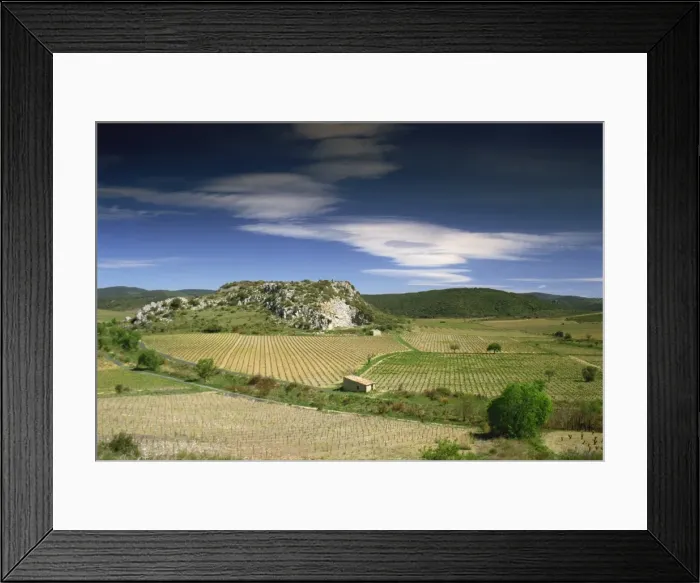 Framed Print : Landscape of vineyards and hills near Neffies, Herault, Languedoc Roussillon Framed Print : Landscape of vineyards and hills near Neffies, Herault, Languedoc Roussillon
